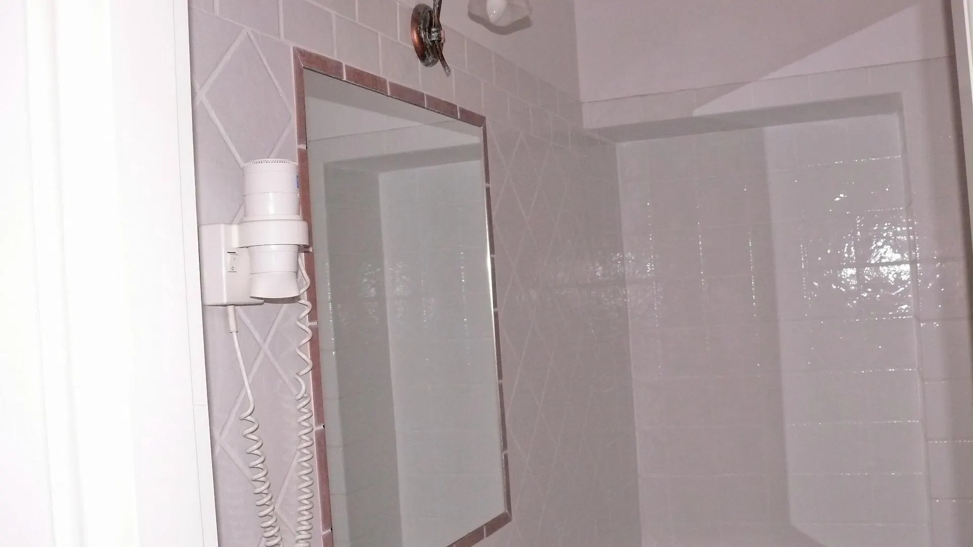 Residence Michelangiolo 피렌체